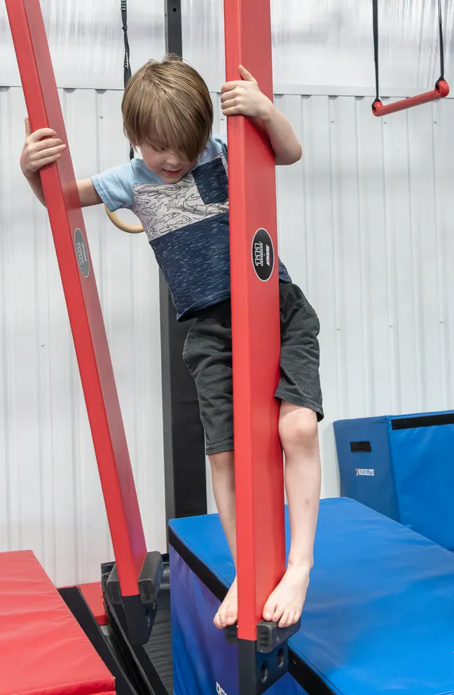 Ninja Training