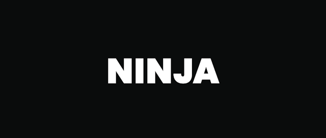 Ninja Zone